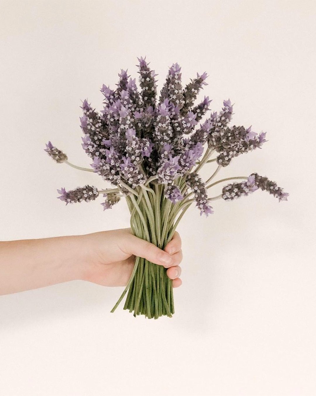 wildflower wedding bouquets with lavender