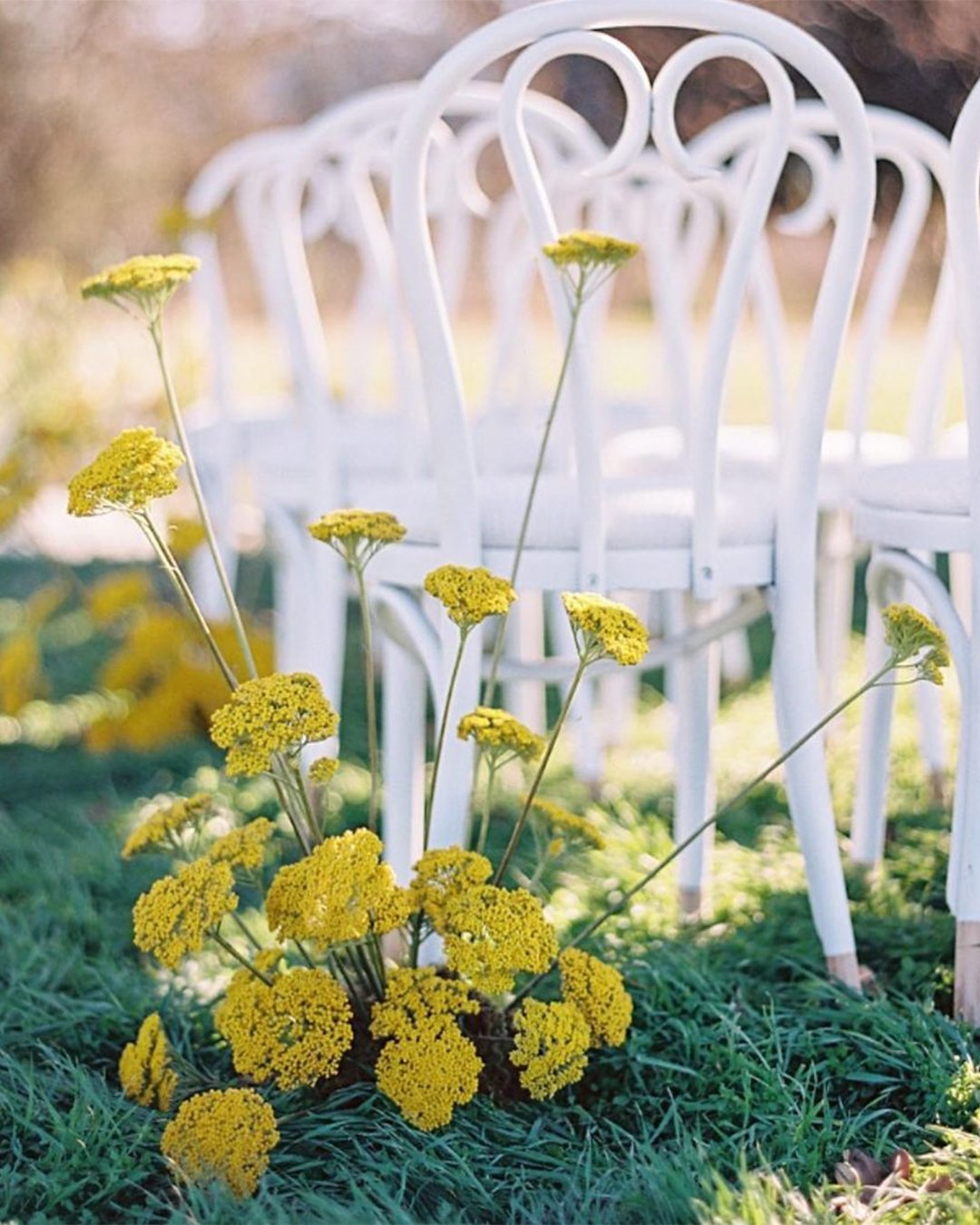 wedding chair decorations outdoor wedding chair decoration