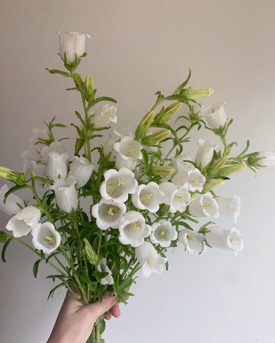 white wedding bouquets inspirationinspiration captivating wedding bouquets
