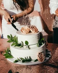 Cake Cutting Songs: 30 Best Songs + Short Guide How To Choose It