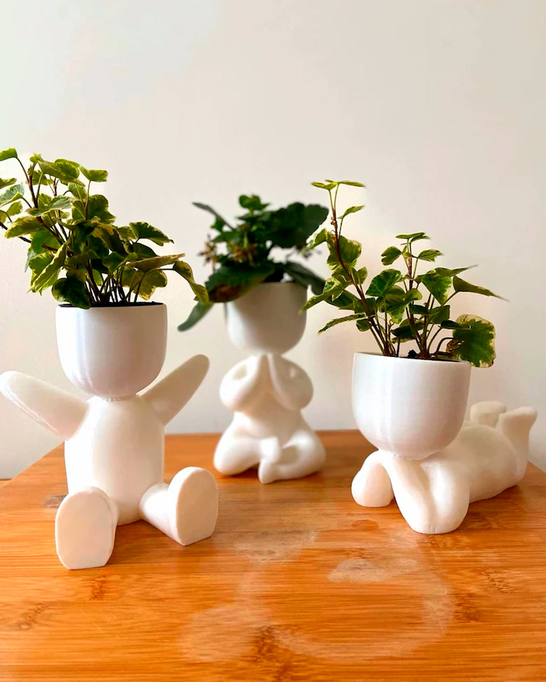 engagement party gifts plant pot