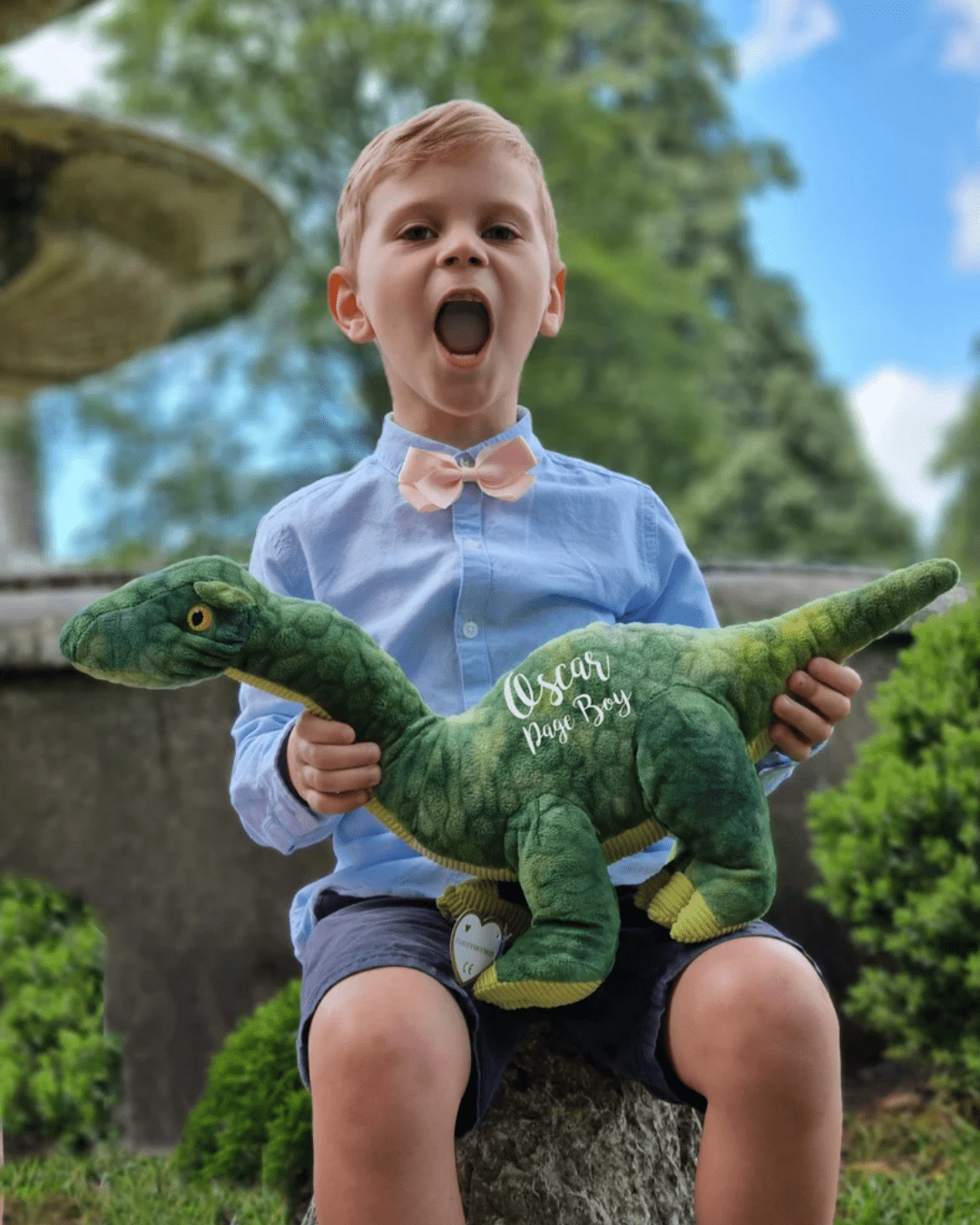 ring bearer proposal gifts personalized dinosaur