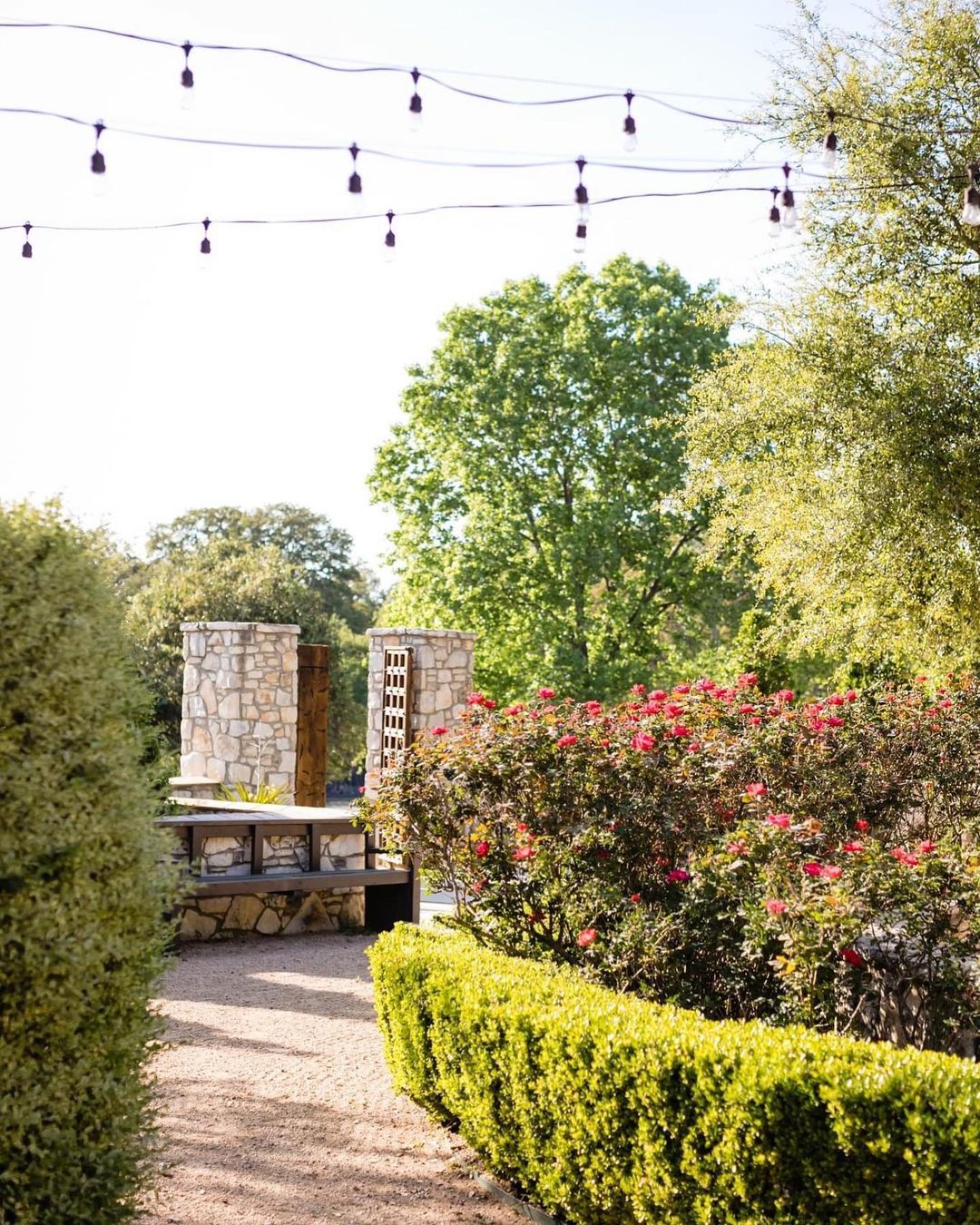 wedding venues in austin outdoor greenery flowers