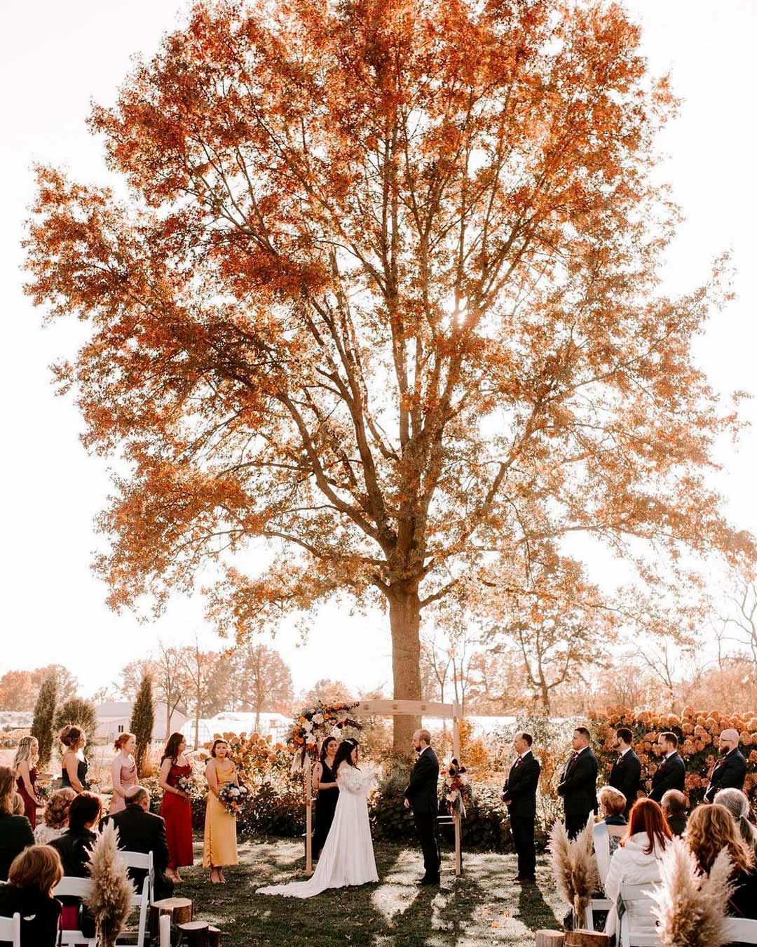 best wedding venues in ohia garden tree