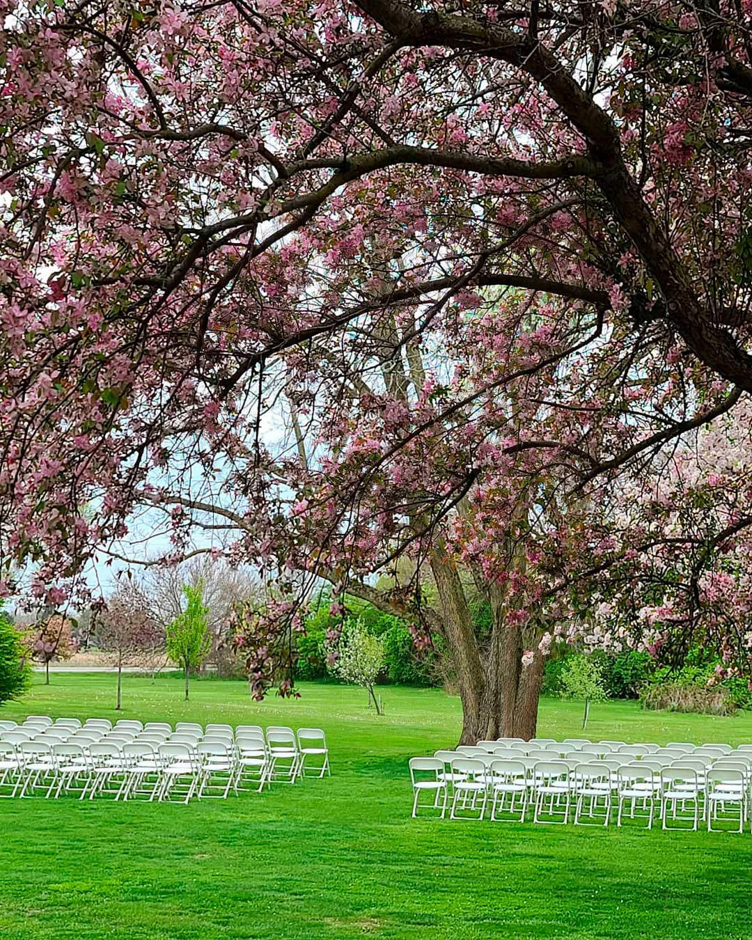 best-wedding-venues-in-ohia-outdoor-willowtreeweddings