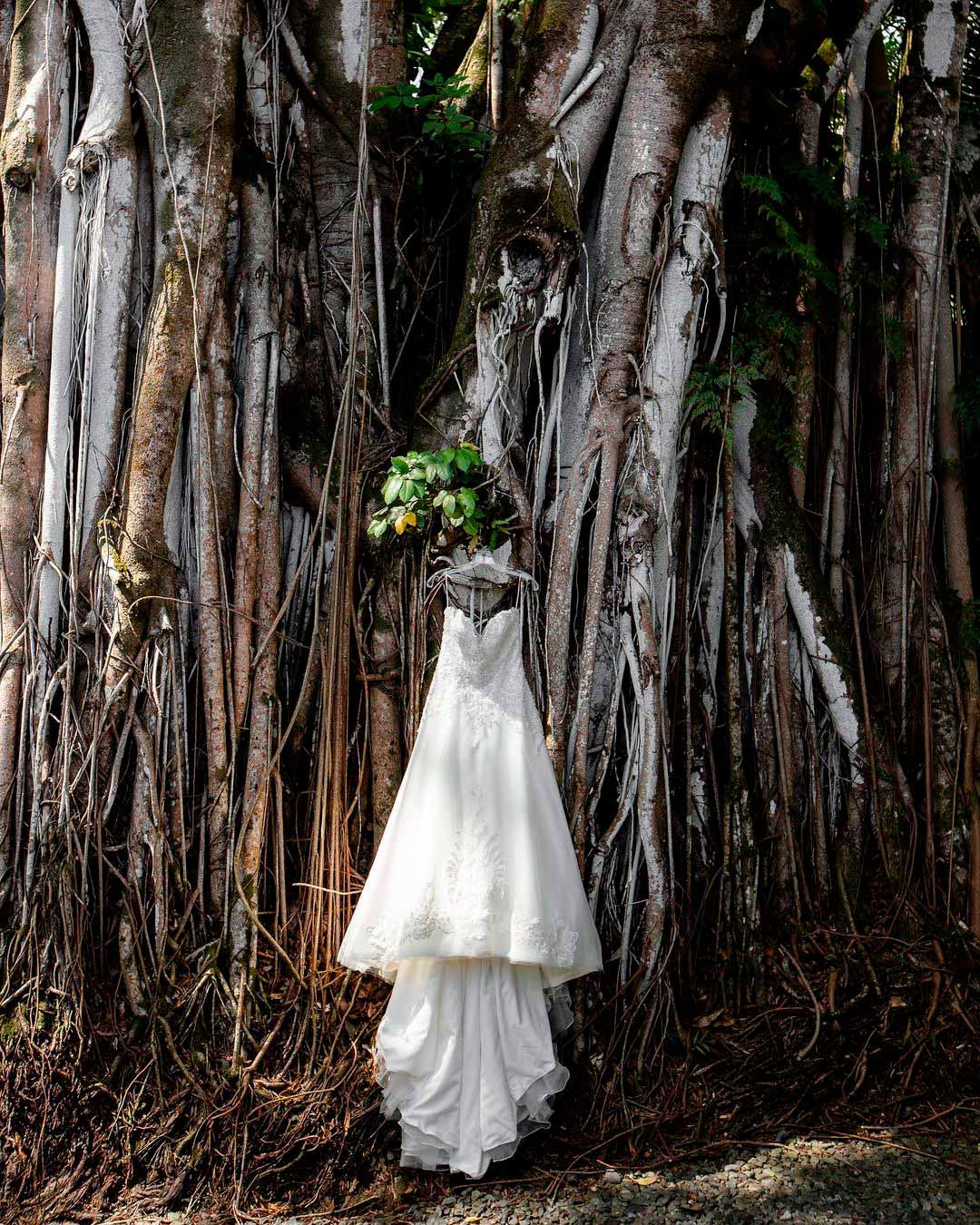 best wedding venues in hawaii trees