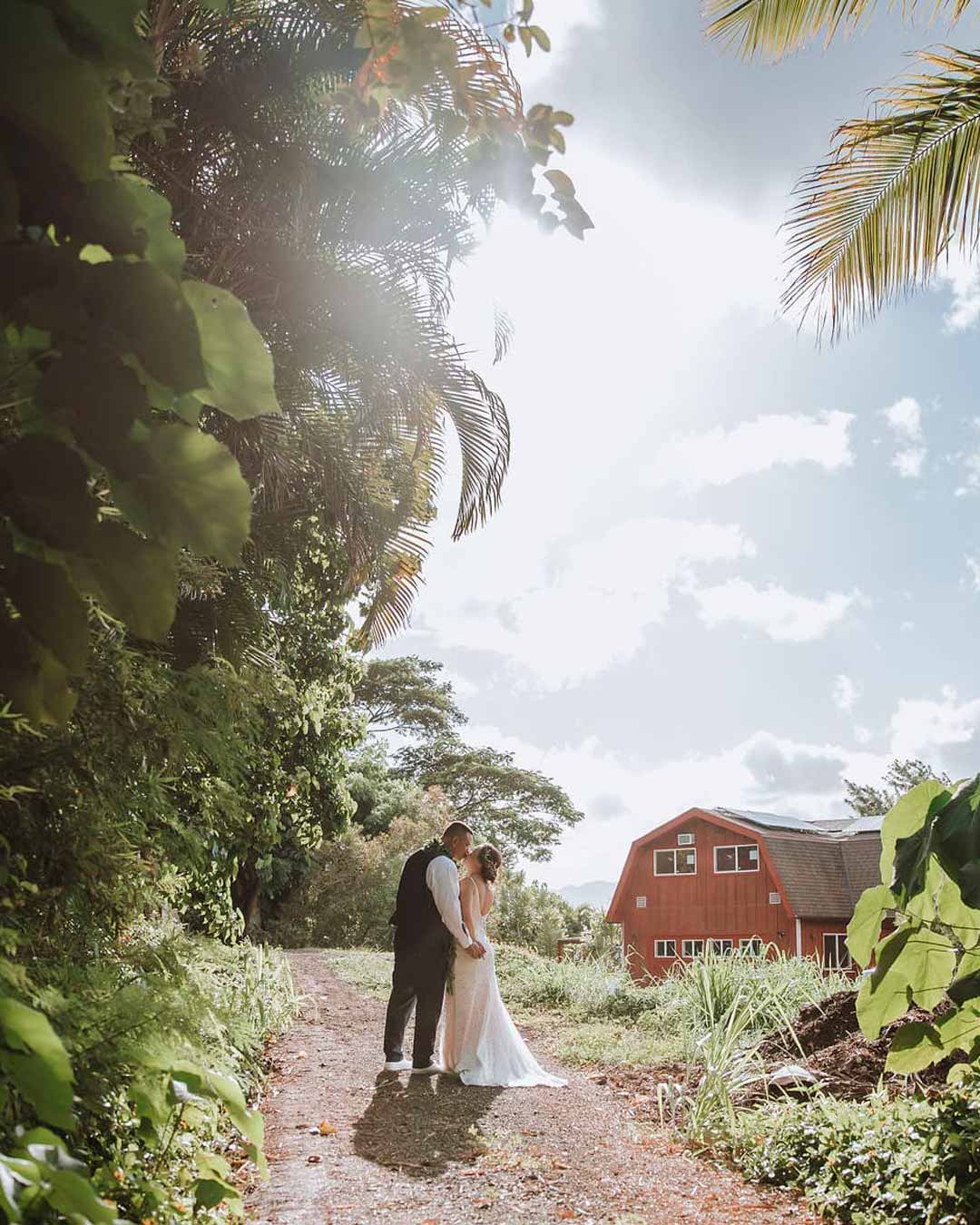 best wedding venues in hawaii trees house