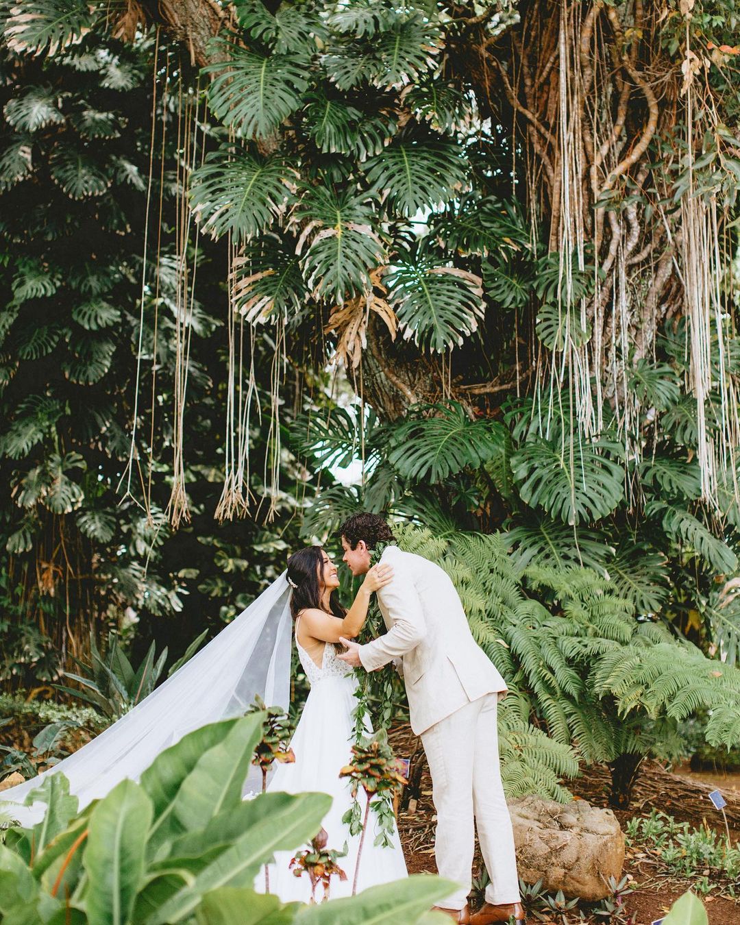 best wedding venues in hawaii trees