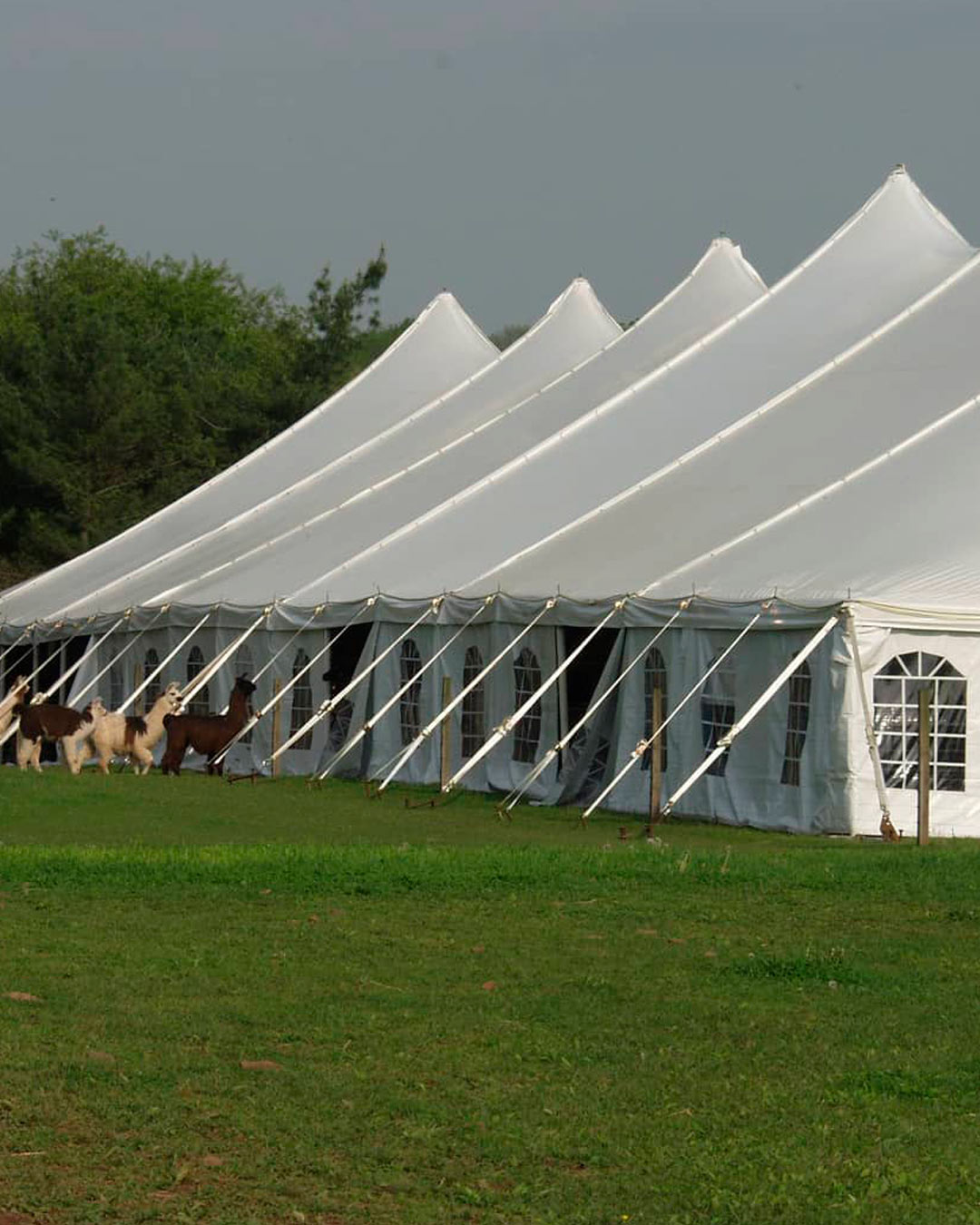 best wedding venues in new jersey outdoor tents