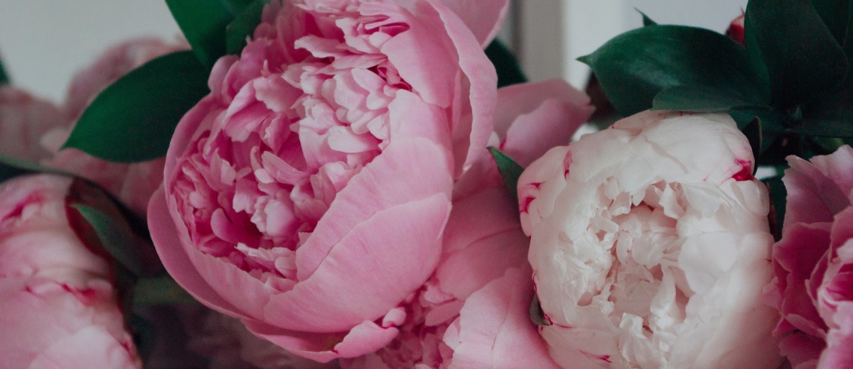 Pink wedding bouquets: Best Ideas + FAQs