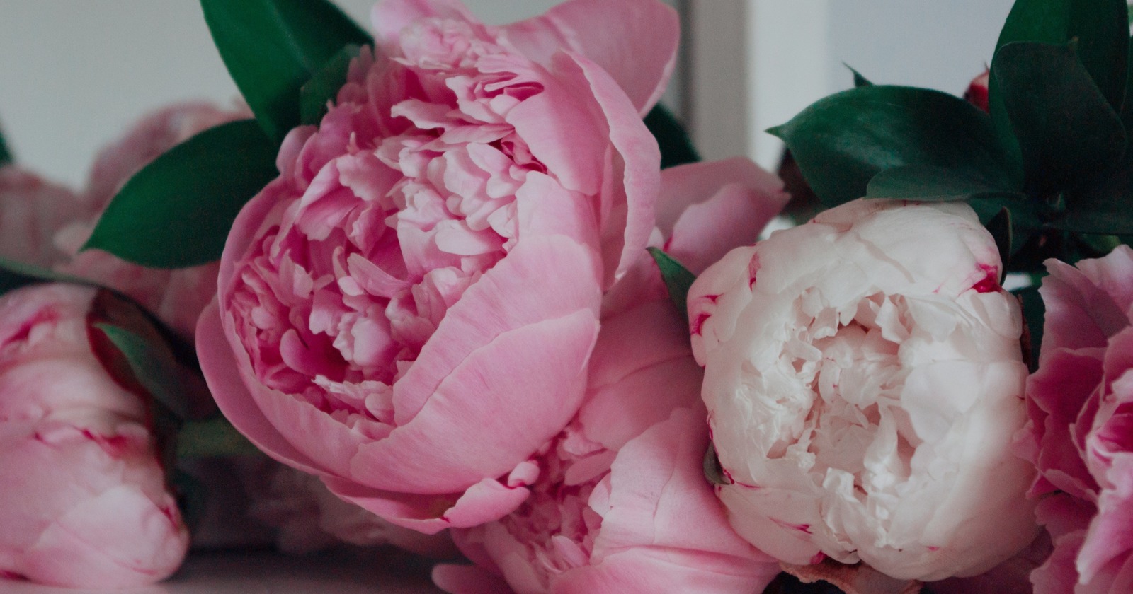 Pink Wedding Bouquets: Ideas + FAQs
