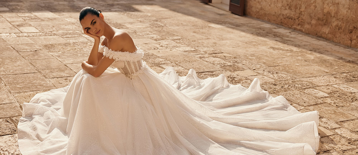 21 Ariamo Bridal Dresses: Where Dreams Meet Design